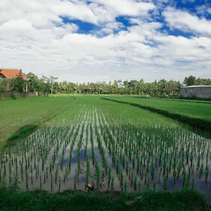 https://canang-sari-house.ubudhotelsnow.com